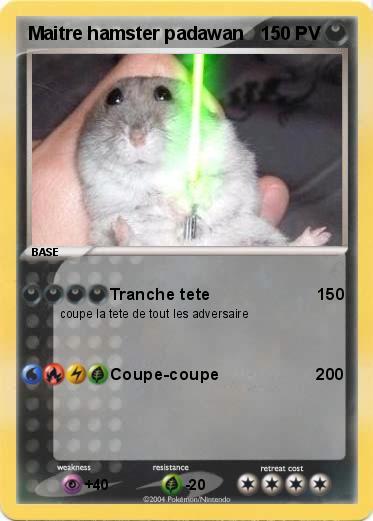Pokemon Maitre hamster padawan