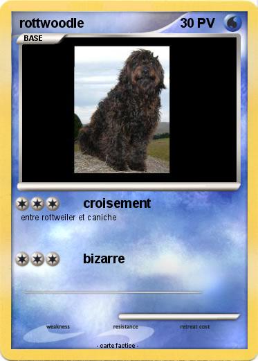Pokemon rottwoodle