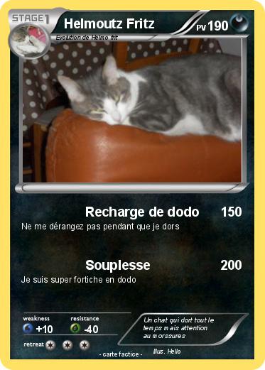 Pokemon Helmoutz Fritz