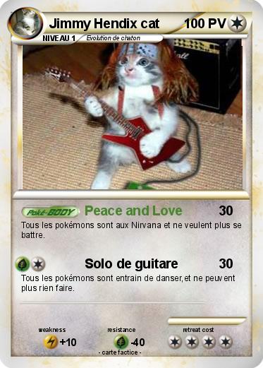 Pokemon Jimmy Hendix cat