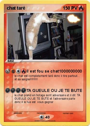 Pokemon chat taré