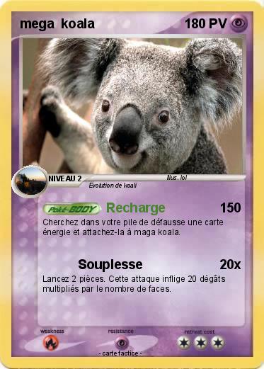 Pokemon mega  koala