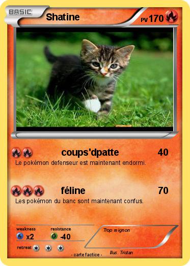 Pokemon Shatine