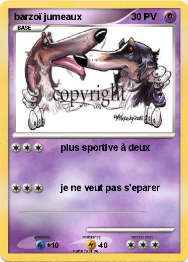 Pokemon barzoï jumeaux