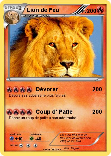 Pokemon Lion De Feu 31