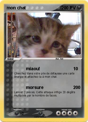 Pokemon mon chat