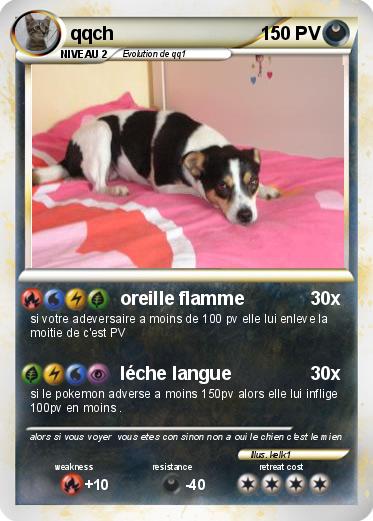 Pokemon qqch