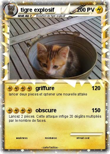 Pokemon tigre explosif