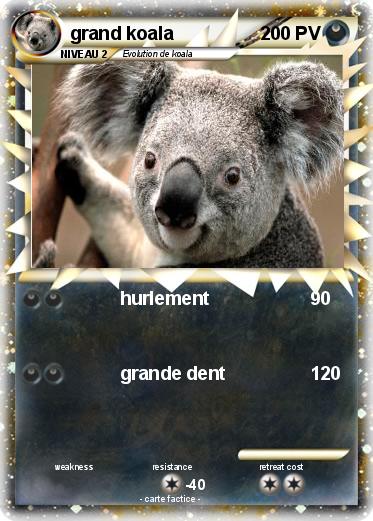 Pokemon grand koala
