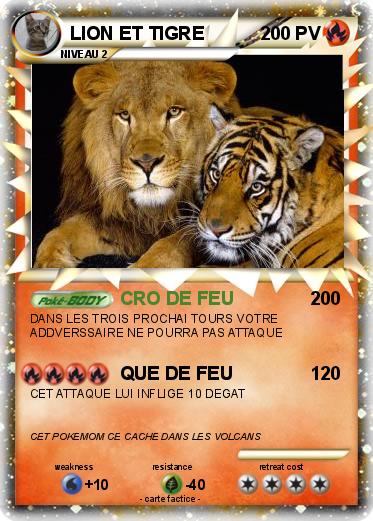 Pokemon LION ET TIGRE