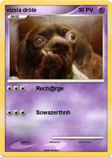 Pokemon vizsla drôle