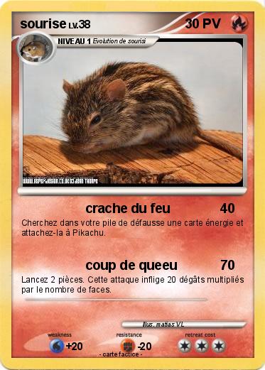 Pokemon sourise