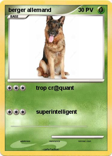 Pokemon berger allemand