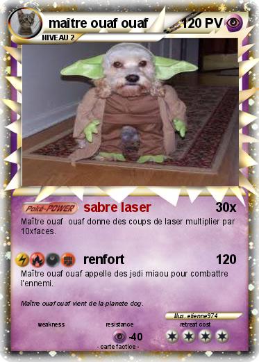 Pokemon maître ouaf ouaf