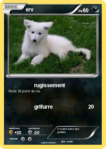 Pokemon erv
