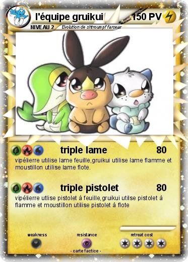 Pokemon l'équipe gruikui