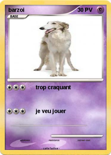 Pokemon barzoi