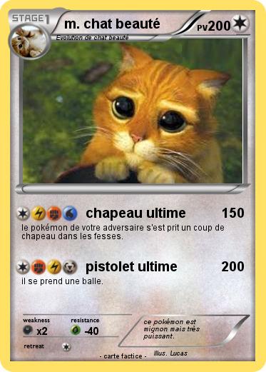 Pokemon m. chat beauté