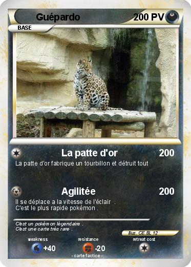 Pokemon Guépardo