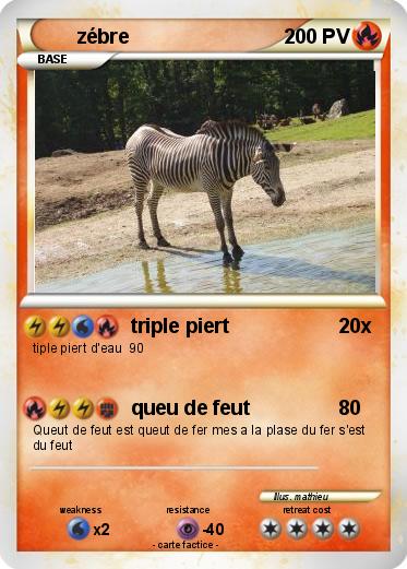 Pokemon zébre