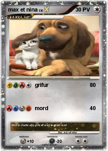 Pokemon max et nina