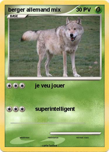 Pokemon berger allemand mix