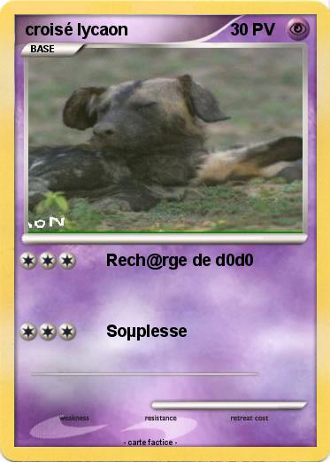 Pokemon croisé lycaon