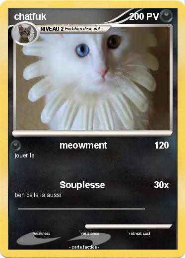 Pokemon chatfuk
