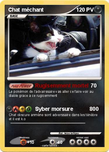 Pokemon Chat méchant