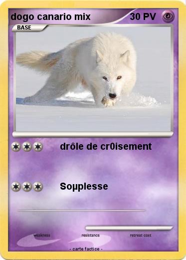 Pokemon dogo canario mix