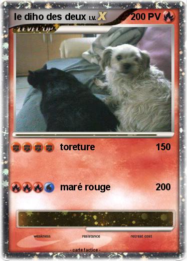 Pokemon le diho des deux