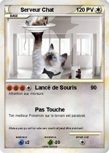 Pokemon Serveur Chat