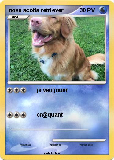 Pokemon nova scotia retriever