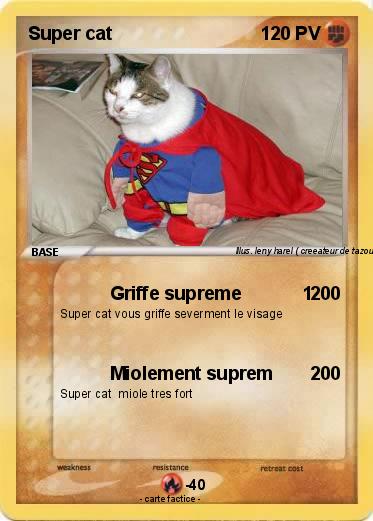 Pokemon Super cat