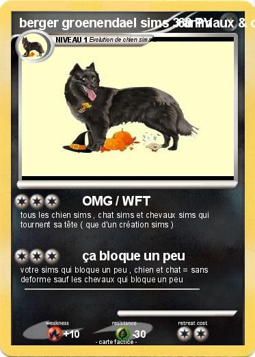 Pokemon berger groenendael sims 3 animaux & cie (2)