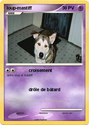 Pokemon loup-mastiff