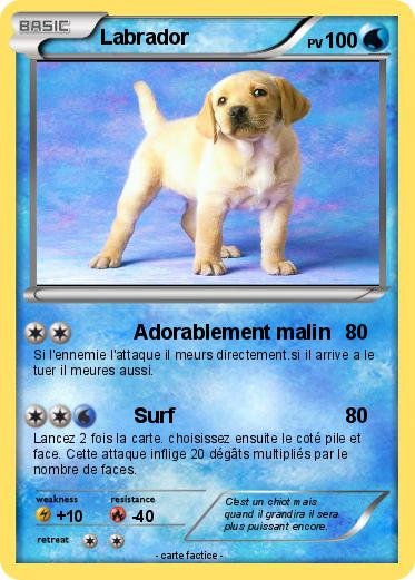 Pokemon Labrador