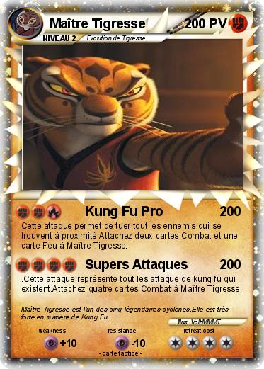 Pokemon Maître Tigresse