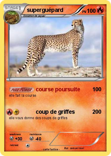 Pokemon superguépard