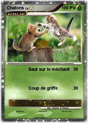 Pokemon Chatons