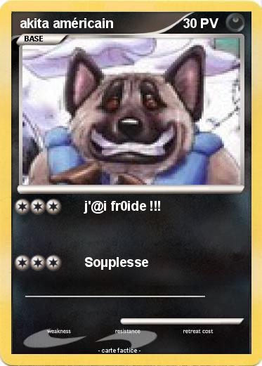 Pokemon akita américain