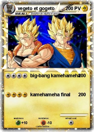 Pokemon vegeto et gogeto