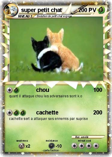 Pokemon super petit chat