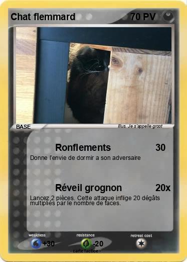 Pokemon Chat flemmard