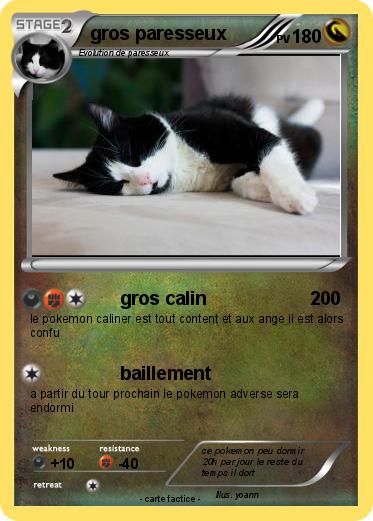 Pokemon gros paresseux