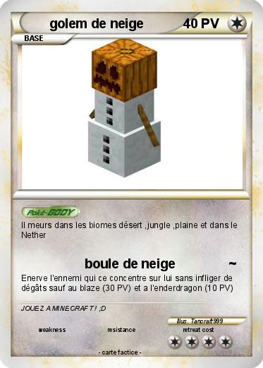 Pokemon golem de neige