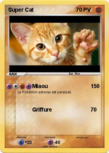 Pokemon Super Cat