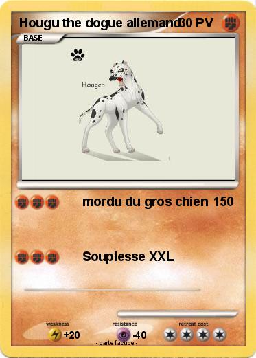 Pokemon Hougu the dogue allemand