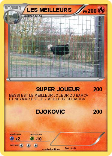 Pokemon LES MEILLEURS