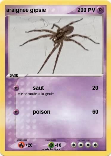 Pokemon araignee gipsie